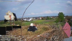 IMG_3106.jpeg