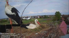 IMG_3115.jpeg