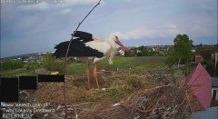 IMG_3133.jpeg