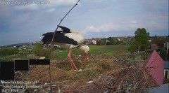 IMG_3134.jpeg