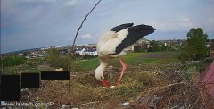 IMG_3140.jpeg