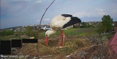 IMG_3141.jpeg