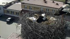 IMG_3127.jpeg