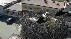IMG_3131.jpeg