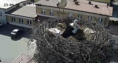 IMG_3132.jpeg