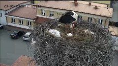 IMG_3173.jpeg