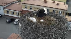 IMG_3174.jpeg