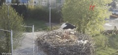 IMG_3157.jpeg