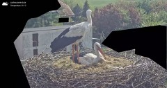 IMG_3080.jpeg