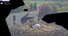 IMG_3083.jpeg