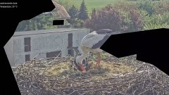 IMG_3099.jpeg