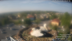 palowice-2025-04-23-6.png