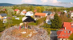 2025-04-23 21_04_36-Gniazdo bocianie _Kostek i Rika_ - Podkarpacie Kostarowce - YouTube - Maxthon.png