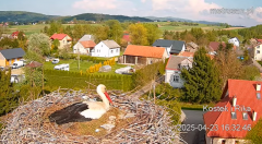 2025-04-23 21_04_54-Gniazdo bocianie _Kostek i Rika_ - Podkarpacie Kostarowce - YouTube - Maxthon.png