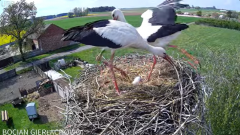 2025-04-23 21_11_07-Bocian Gierłachowo 2025 - YouTube - Maxthon.png
