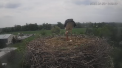 2025-04-23 21_50_56-Bociany - Raszków - YouTube - Maxthon.png