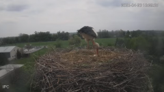 2025-04-23 21_51_03-Bociany - Raszków - YouTube - Maxthon.png