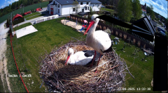 2025-04-23 22_11_17-GNIAZDO BOCIANIE PRZY OSP ŻELECHÓW - YouTube - Maxthon.png