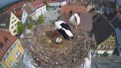 IMG_7246.jpeg