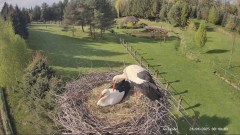 IMG_3185.jpeg