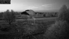 IMG_3197.jpeg