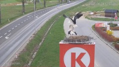IMG_9092.jpeg