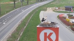 IMG_9097.jpeg