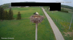 2025-04-24 20_40_45-Bociany Żabno - YouTube – Brave.png