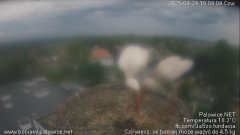 palowice-2025-04-24-10.png