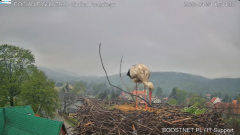 2025-04-24 23_18_38-Bocianie Gniazdo Podgórzyn - Kamera na żywo - Live 2025 - YouTube - Maxthon.png