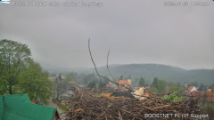2025-04-24 23_19_03-Bocianie Gniazdo Podgórzyn - Kamera na żywo - Live 2025 - YouTube - Maxthon.png