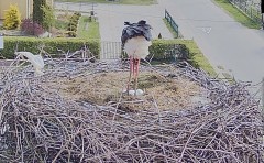 IMG_9197.jpeg