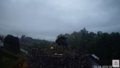 IMG_9177.jpeg