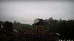 IMG_9187.jpeg