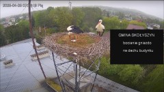 IMG_9259.jpeg