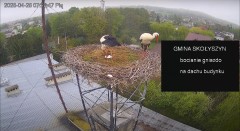 IMG_9264.jpeg