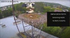 IMG_9267.jpeg