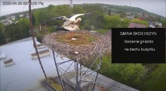 IMG_9268.jpeg
