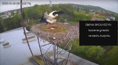 IMG_9272.jpeg