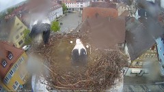IMG_7387.jpeg