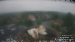 palowice-2025-04-25-8.png