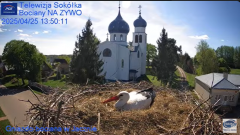 2025-04-25 15_15_58-Gniazdo Bocianie - Telewizja Sokółka [NA ŻYWO] _ IP Camera_ Stork's nest [LIVE] .png