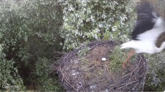 IMG_9641.jpeg