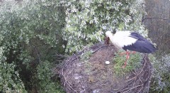 IMG_9642.jpeg