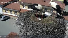 IMG_9561.jpeg