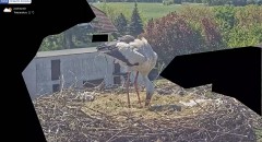 IMG_9575.jpeg