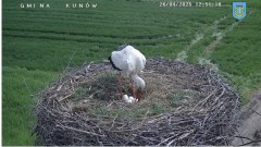 IMG_9609.jpeg