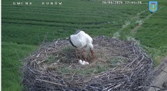 IMG_9610.jpeg