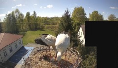 IMG_9459.jpeg