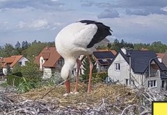 IMG_3084.jpeg